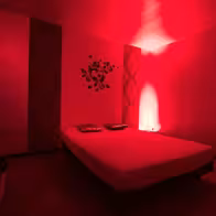 L'Eden - photo 11