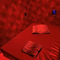 Le Moloko - photo 13