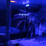 Angély's Club - photo 3