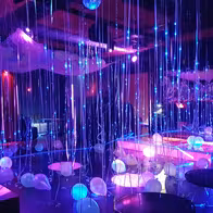 Le Paradis - photo 15