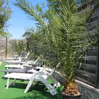 Le Moulin’s Club 3 - photo 33