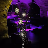 Le Domaine Club Libertin - photo 3