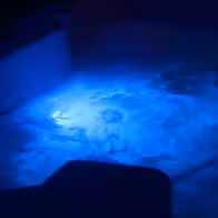 La Chrysalide Club - photo 23