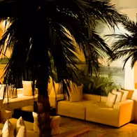 Palmas Sauna Club - photo 9
