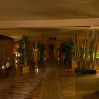 Vip Massage Frankfurt - photo 11