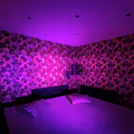 Sakura Fkk Club - photo 17