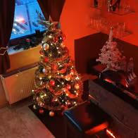 Wellness Paradies - Erotische Massagen Hannover - photo 19