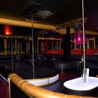 Pure Platinum - photo 5