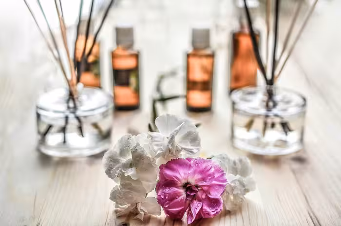 Tantra Trauminsel - Tantra Massage Team