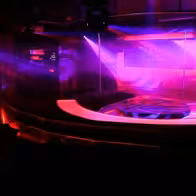 Tahiti Bar Table Dance - photo 2