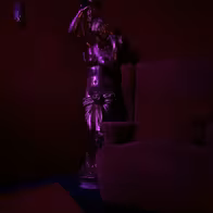 Rheingold Nightclub, Cabaret, Tabledance - Karlsruhe - photo 6