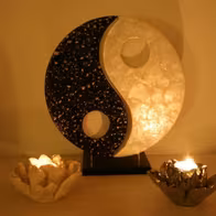 Temdesin I Erotische Massage Düsseldorf - photo 3