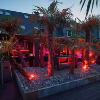 Palmera Düsseldorf: Erotikclub, Bordell, Nightclub & Saunaclub - photo 12