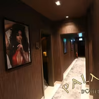 Palmera Düsseldorf: Erotikclub, Bordell, Nightclub & Saunaclub - photo 5