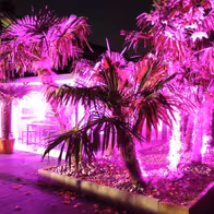 Palmera Düsseldorf: Erotikclub, Bordell, Nightclub & Saunaclub - photo 20