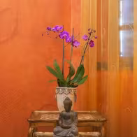 Tantra Welten - photo 3
