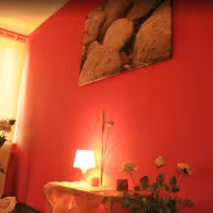 Magnolia - photo 2