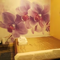 Thai Massagen Bremen - photo 5
