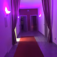 Tantra Massage Deluxe Regensburg - photo 7