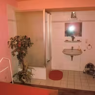Nightclub Bienenkorbchen - photo 2