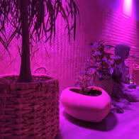 Relax Massage & Wellness Mainz - photo 2