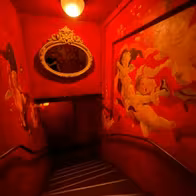 Red Cat - photo 3