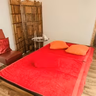 Wellness Oase Mannheim - Exclusive Erotic Massage Salon - photo 13