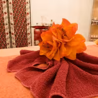 Wellness Oase Mannheim - Exclusive Erotic Massage Salon - photo 6