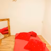 Wellness Oase Mannheim - Exclusive Erotic Massage Salon - photo 7