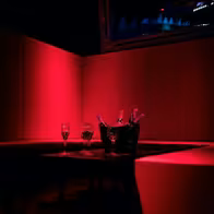 Red Rose - Tabledance & Nightclub - photo 5