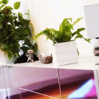 Massage Paradies Halle - photo 2