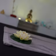 Luxus Tantra Wellness Erotische Massagen - photo 2