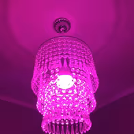 Secret Dreams - photo 2