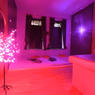 Biggis Swinger Lounge - photo 5