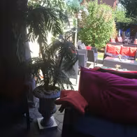 Biggis Swinger Lounge - photo 32