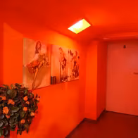 Cabaret Can-Can - photo 6