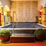 Saunaclub Salome Men's Spa - photo 6