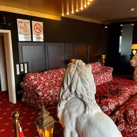 Luxe Inn - photo 16