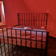 Zum Alten Waldhaus - photo 8