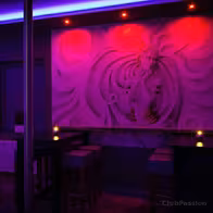Swingerclub Passion - photo 10