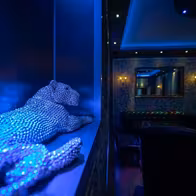 Club Comtesse - photo 7