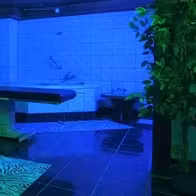 Maxis-Swing - photo 5