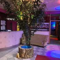 Club Chateau - photo 8