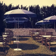 Finca Erotica - photo 43