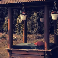 Finca Erotica - photo 47