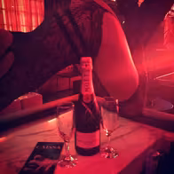 Caissa Strip Club - photo 4