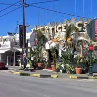 Tiger Club - photo 2