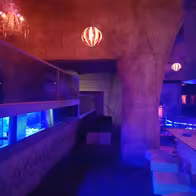 Tiger Club - photo 4