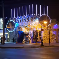 Tiger Club - photo 5
