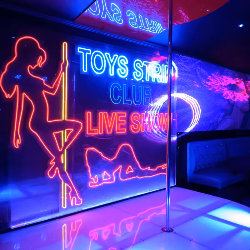 Strip Club Toys - photo 1